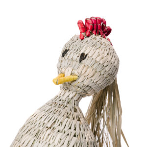 FL Junio 2023 (99 de 218)