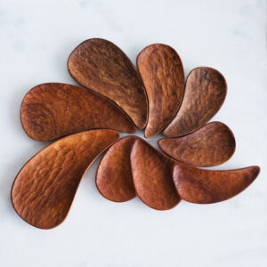 Juego de picoteo caracolas de 7 piezas