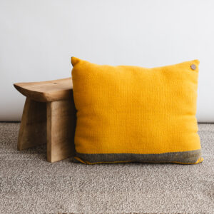 Cojin rectangulas Huil 53x33_1