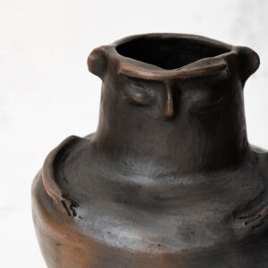 metawe negro antropomorfo