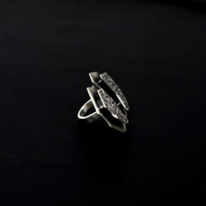 anillo protección 3