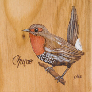 Tabla de picoteo aves chilenas mediana