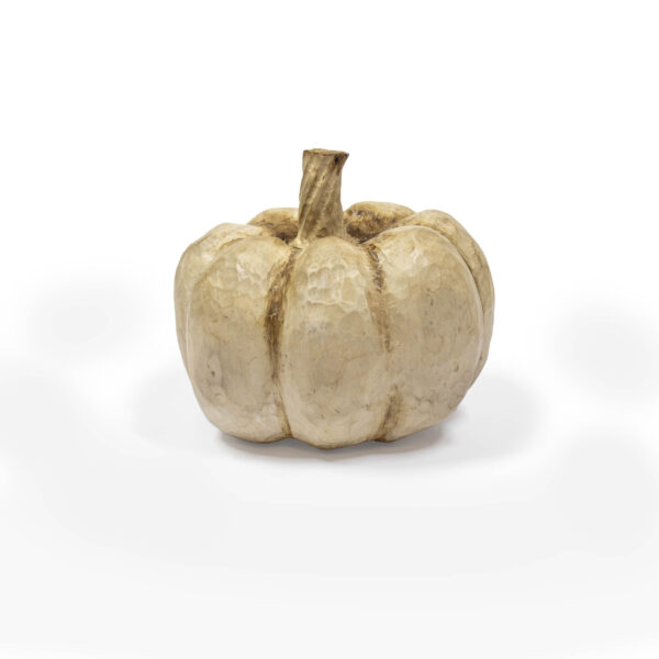 calabaza zapallo (2)