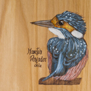 Tabla de picoteo aves chilenas mediana