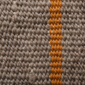 81-Juana Llanquileo-TXKK001202 (287 de 1)