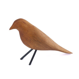 Chongo lingue rojo (2)